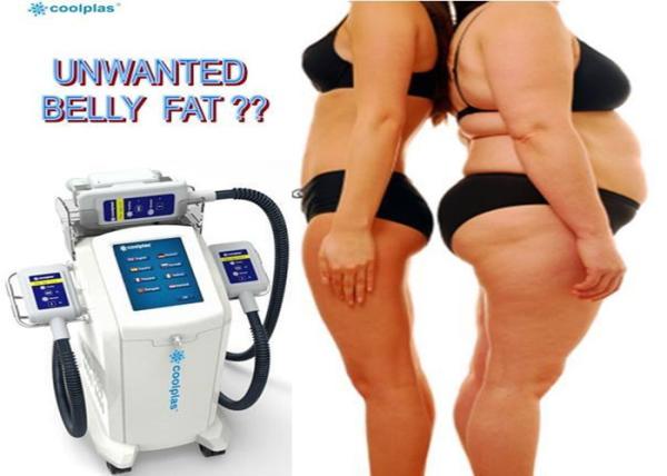 Non Invasive Coolplas Slim Freeze Fat Freeze Slimming Machine With Touch Screen