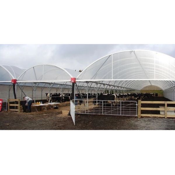 Poultry Farm Used Agricultural Plastic Warm Greenhouse Protect From Raining