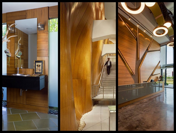 Шкафы OEM представляют облицовку Teak переклейки доски переклейки естественную