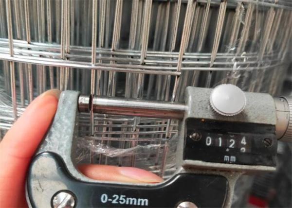 BWG14 1/2 X 1in Steel Galvanised Welded Mesh Roll Wire Mesh Fencing Rolls