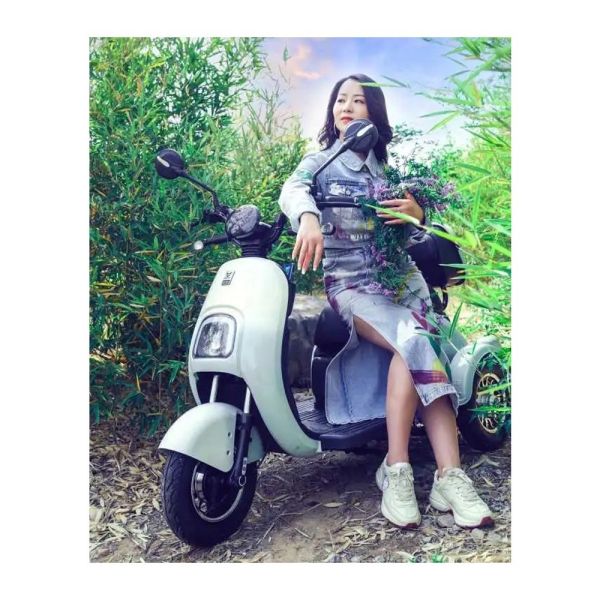 2 Passengers Electric Scooter 3 Wheel Taxi Tricycle Bicycle Car 30-50km Driving Mileage