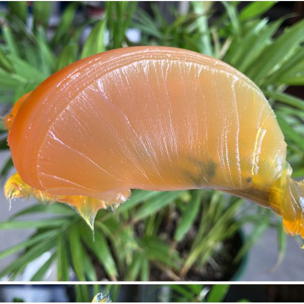 Multi-purpose Mechanical General Lithium Grease for Vehicle Chassis Lubrication Needs