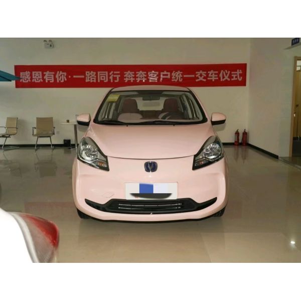 Changan Benben E-Star 2022 Qinxin Version EV NEDC 301km