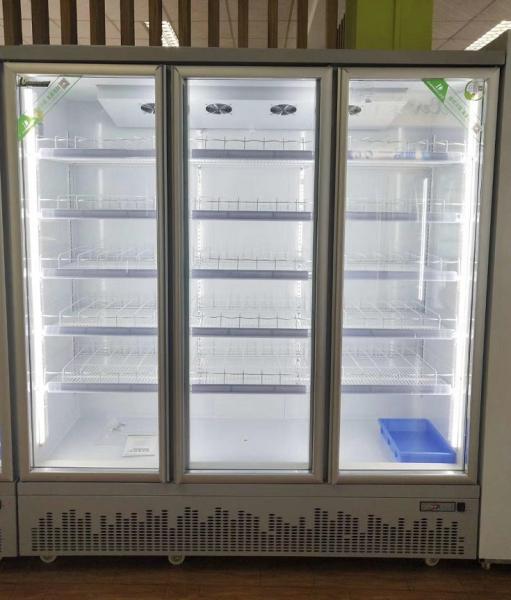White Danfoss Compressor 1950L Glass Door Freezer
