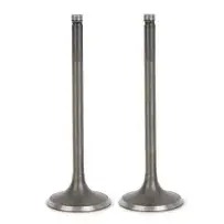 High-quality Intake Valve 04E 109 601 AB for Imported Volkswagen Passat