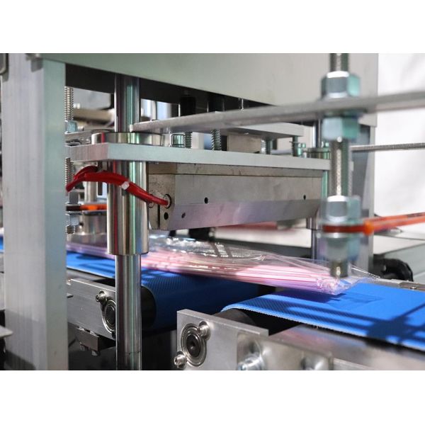 Full-Automatic Rattan Stick Counting & Packaging Machine - High-Speed & Stable Performance