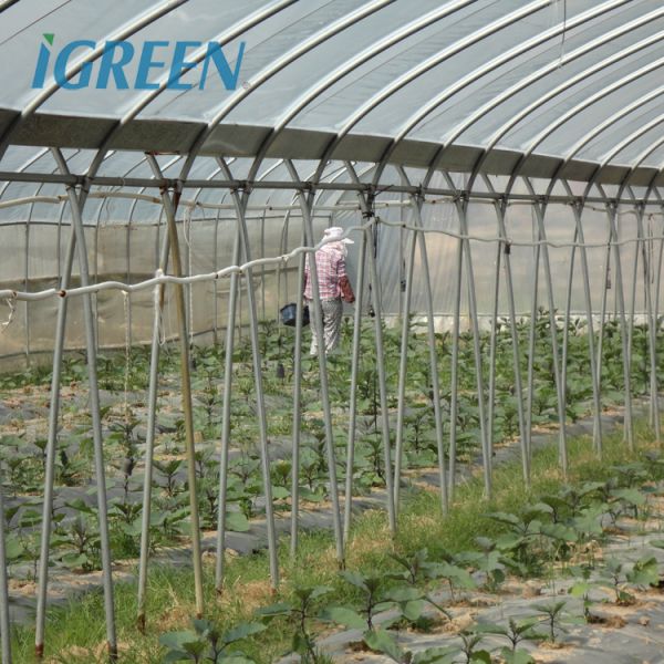 Large IGreen Agricultural Greenhouses Materials Shade Cloth Greenhouse with No Roof Vent
