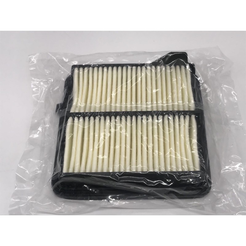 Toyota Land Cruiser 17220-RB6-Z00 Car Air Filter