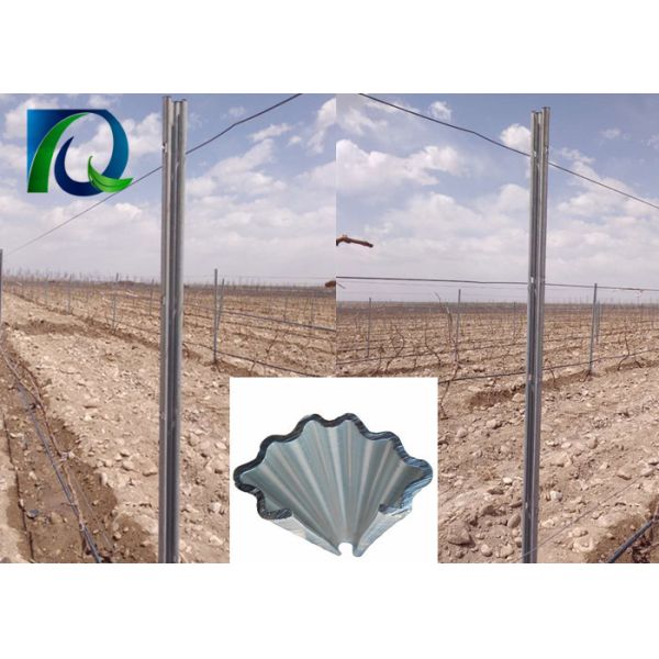 Customized Size Vineyard Poles / Grape Trellis Posts With N Shape Holes