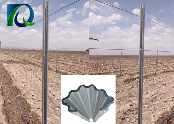2.0MM Thick Metal Grape Trellis Posts For Vineyard And Orchard Strongest Design