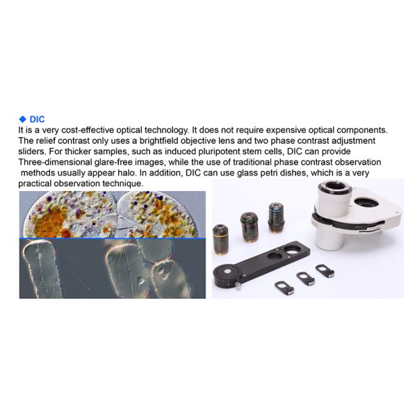 OPTO EDU A14.1096 Laboratory 22mm Inverted Fluorescence Microscope