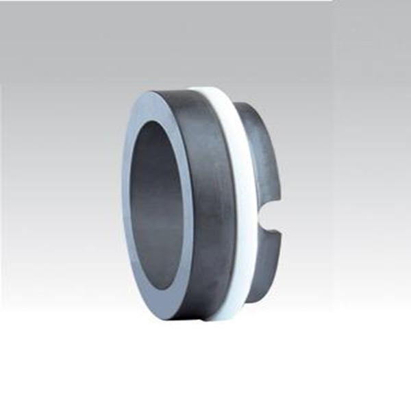 Joint mécanique stationnaire de silicium de Din24960 BP pour la pompe à eau