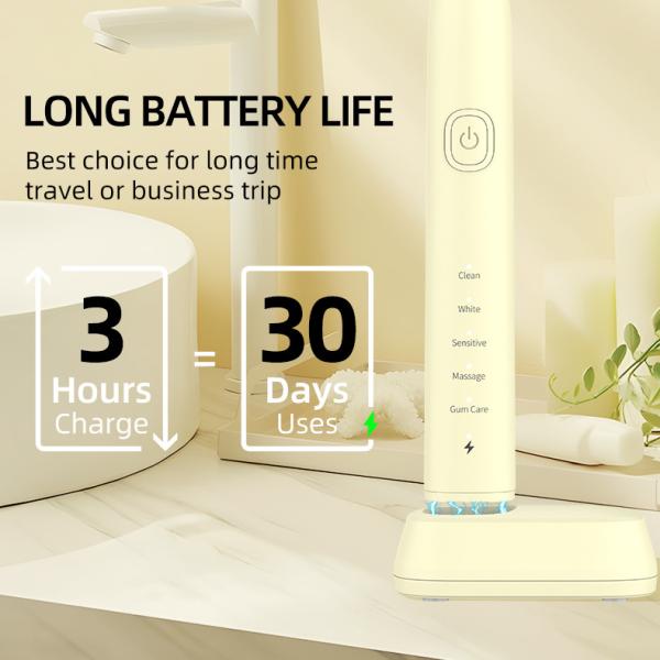 Smart IPX7 Adult Timer Electric Toothbrush For Oral Cleaning Whitening