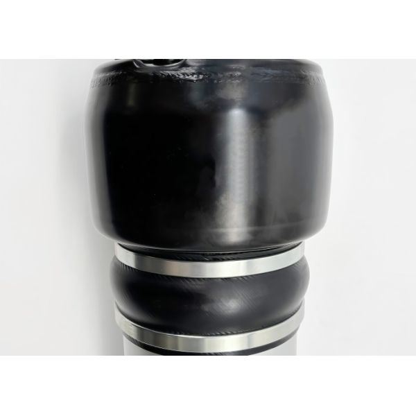 Airmatic Suspension Shock For Mercedes-Benz E-Class W211 CLS-Class W219 Front Left 2113206113