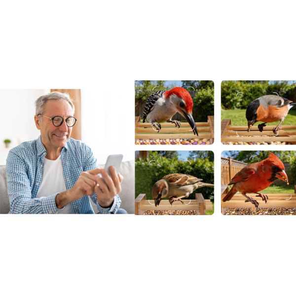 BAMBOO  WOODEN SMART BIRD FEEDER