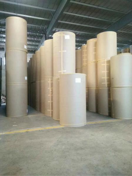 Moisture Proof Thickness 50gsm 400gsm Width 35 Large Kraft Paper Roll