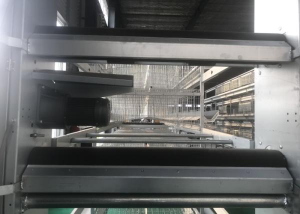 Industrial Poultry Farm Cleaning Equipment Removing Manure Easy Installation