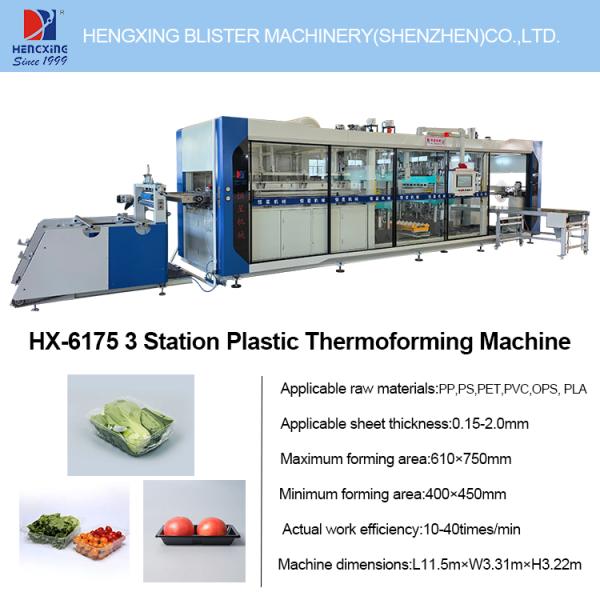 Plastic Fruit Clamshell & Meat Tray Thermoforming Machine Automatic Fresh Supermarket Food Packaging Box Making Machine for PP PET Sheet