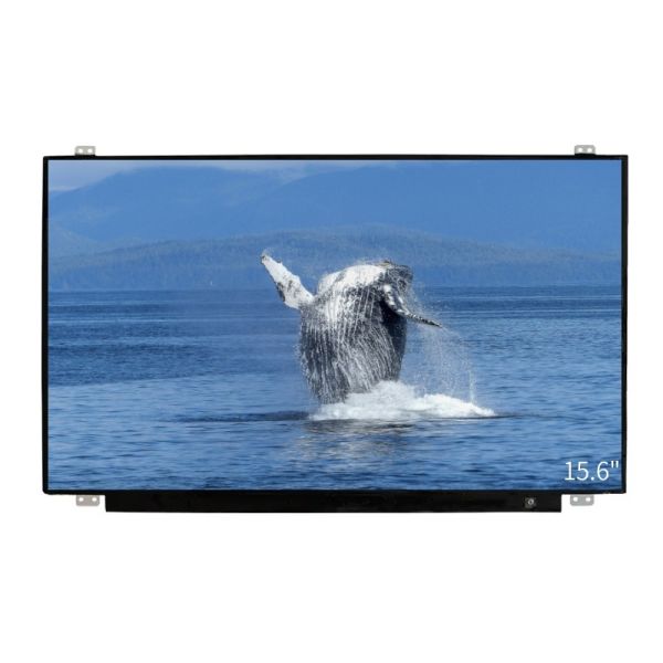1920x1080 Resolution TFT LCD Panels 15.6 Inch IPS LCD Display 30 PIN With Capacitive Touch