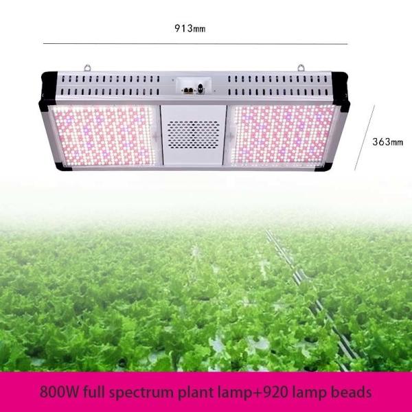 Dimmable Top LED Grow Lights Full Spectrum 800 Watt LED Grow Light