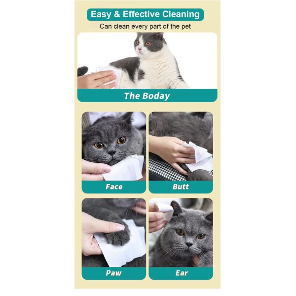 Soft Pet Wet Wipes OEM ODM Dog Wet Wipes For Cleaning Dogs Paw Face Eye