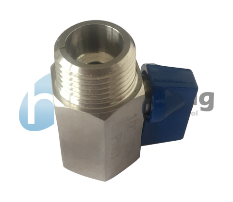 1 Inch Stainless Steel Mini Ball Valve 316 1000 Wog  Bsp Mf Threaded