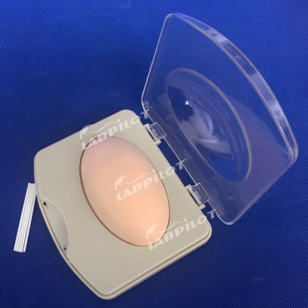 Advanced PVC Subcutaneous Implantation Demonstration Pad for Family Planning Training