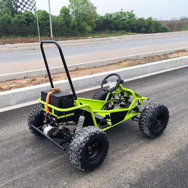 Amusement Park Rental Golf Buggy Cart with 1000W Brushless Motor and EEC Certification