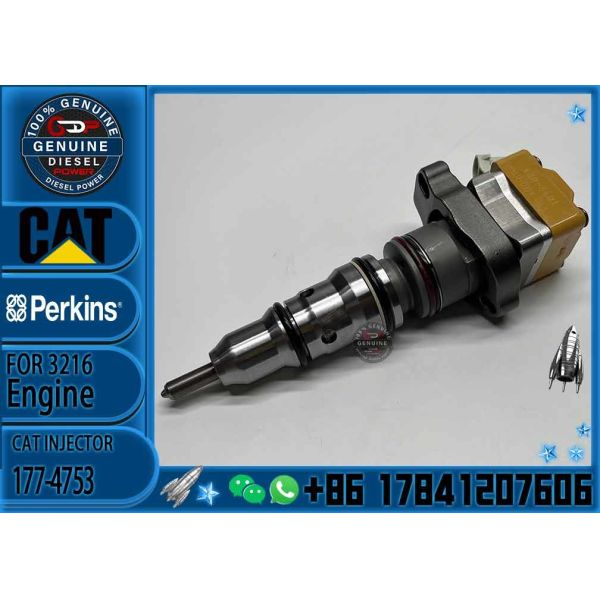 Fuel Injector  171-9704 10R-1306 10R-1257 229-8842 178-6342 178-6343 177-4752 177-4753 For Engine Caterpillar 312
