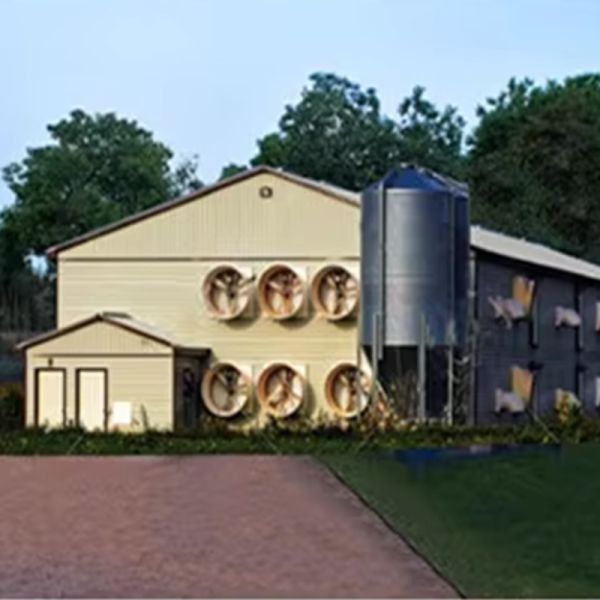 Prefabricated Steel Structure Livestock Building Poultry Farm House Animal Husbandry Shed