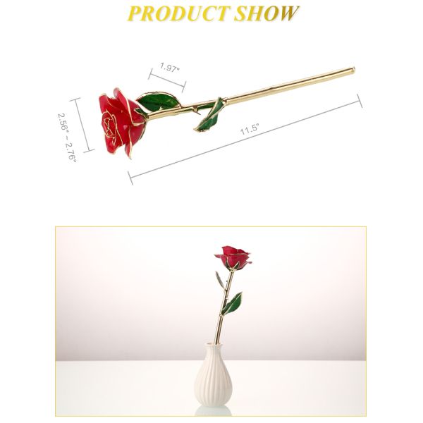 Wholesale  Gold Real Rose 24k Gold Plated Real Natural Rose for Valentine's Day and Christmas Gifts
