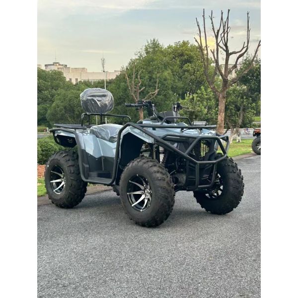 350cc Four Stroke Water-Cooled ATV 4x4 Quad Bikes Bashan Engine and Versatile for Any