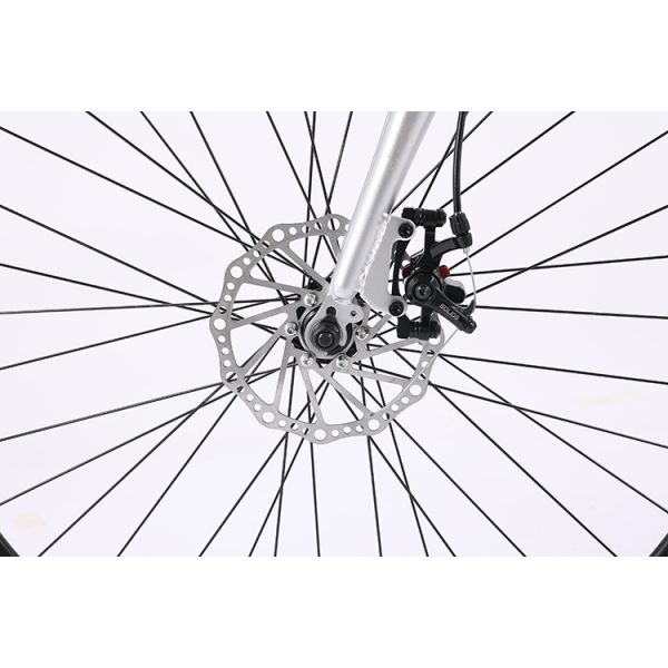 Customization Road Bike with Aluminum Alloy Frame and Disc Brake System 700C Mountainbike