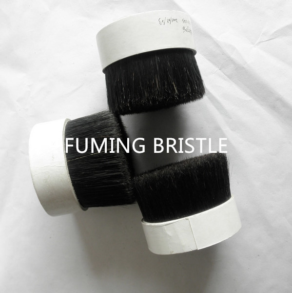 BLACK BOILED BRISTLE BOILED BRISTLES