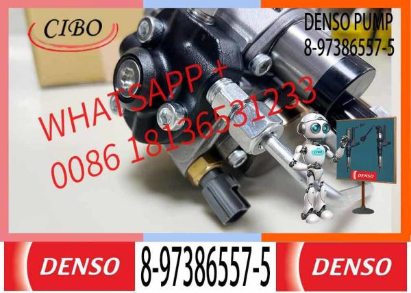 Pompes à essence diesel de haute qualité 294000-1191 Pompes à huile à haute pression 8-97386557-5 pour ISUZU 4HK1