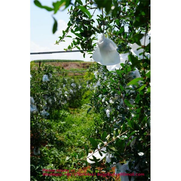 Custom Fruit Protection Bags Double-Layer Thickened Paper Bags Universal For Pear & Apple Trees Factory Wholesale Protection Bags Sunproof, Insect & Disease Resistant