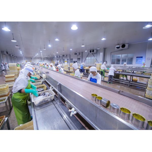 FDA Certified Canned Yellow Peach Halves Fresh Canned Fruit For Different markets