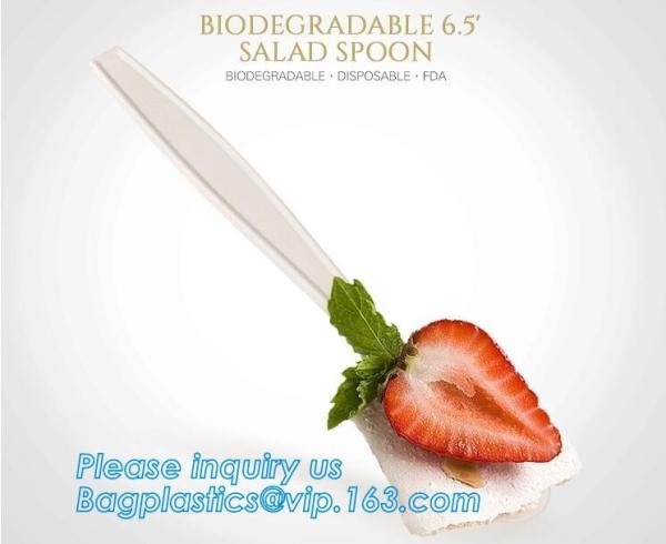 13 cm Length Corn Starch Bio Plastic Disposable Table Spoon,Eco-friendly Corn Starch Disposable Plastic Spoon,bagease pa