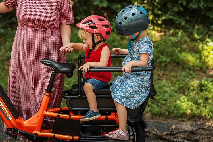 EU Aluminum Frame Hybrid Electric Cargo Bike with Torque Sensor 750W Long Tail Cargo for 2 Kids 48v Lithium Urban Commute E-bike