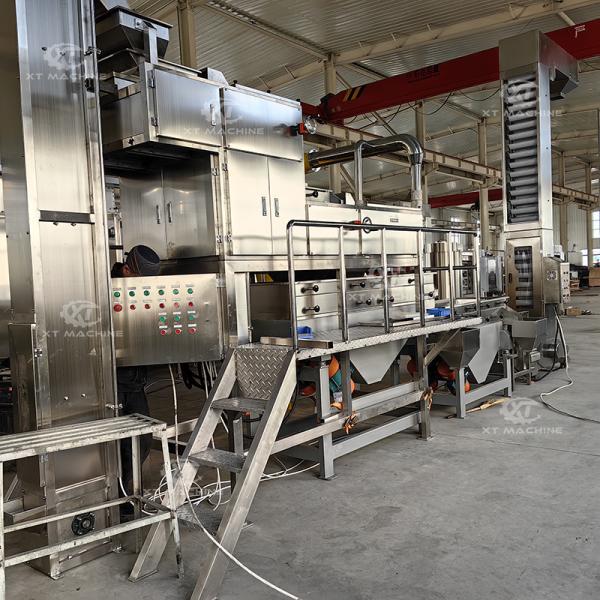 Peanut Chopping and Grader Small Scale Hazelnut Cashew Chopping Machine for Nut Processing Plants