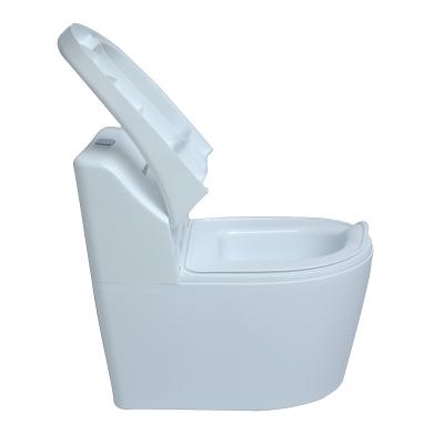 Imprimir padrão Eco-friendly plástico PP Baby Potty Training Seat Chair