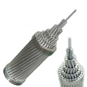 All Aluminum Conductor (AAC) 240mm 300mm 200mm 150mm 100mm 95mm 50mm Overhead Bare Conductor