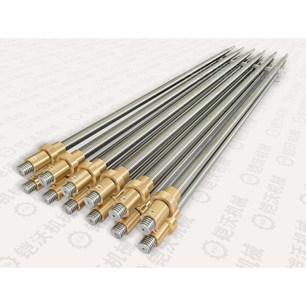High Precision Double Nut Ball Screws Zero Backlash And Low Vibration Twin Lead Screw