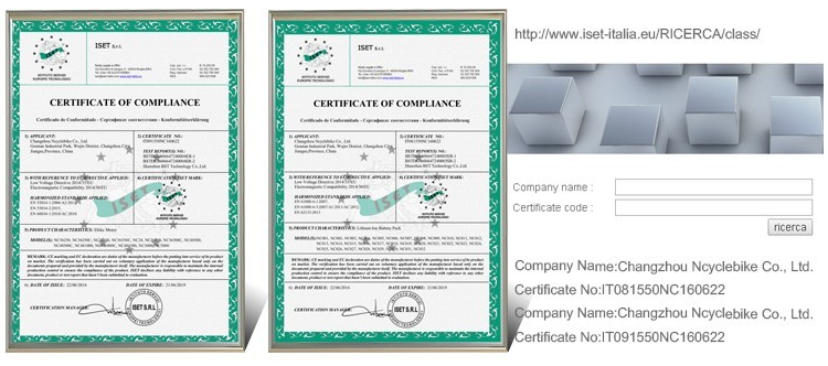 Front Fork Suspension Electric Assist Bicycles Rear Brushless Geared Motor