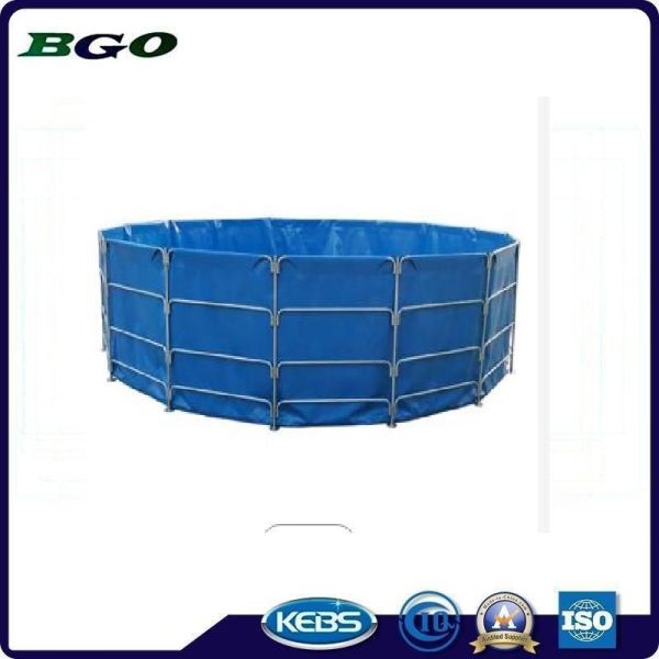Easy To Set Up Industrialized Trap Mesh Aquarium Industrialized Style