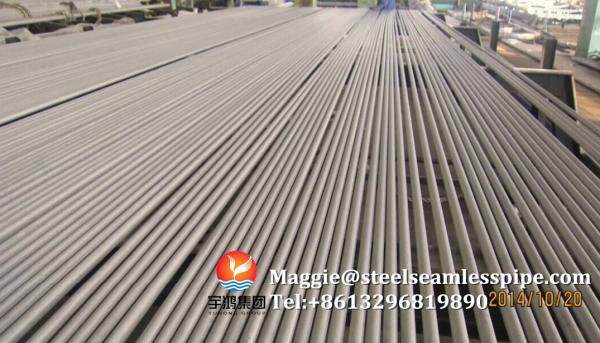 ASTM A789 UNS S32250 Tubos duplex sem costura de aço inoxidável para tratamento de água