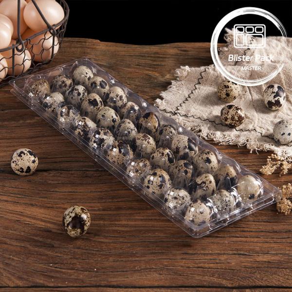 Affordable PET Clear Plastic Egg Trays with Lid 20 24 30 Cells for Disposable Quail