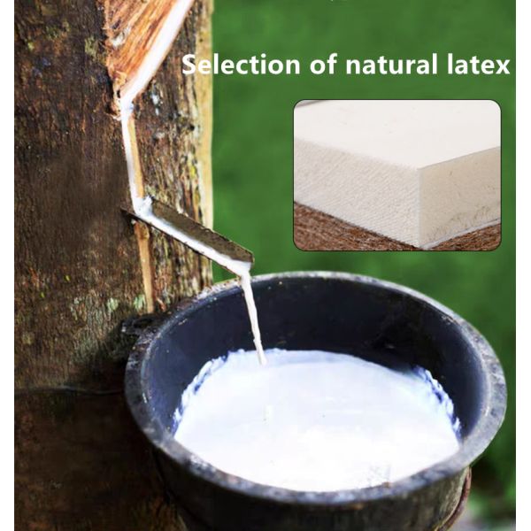 Multifunctional Electric Nursing Medical Adjustable Bed Automatic Turning