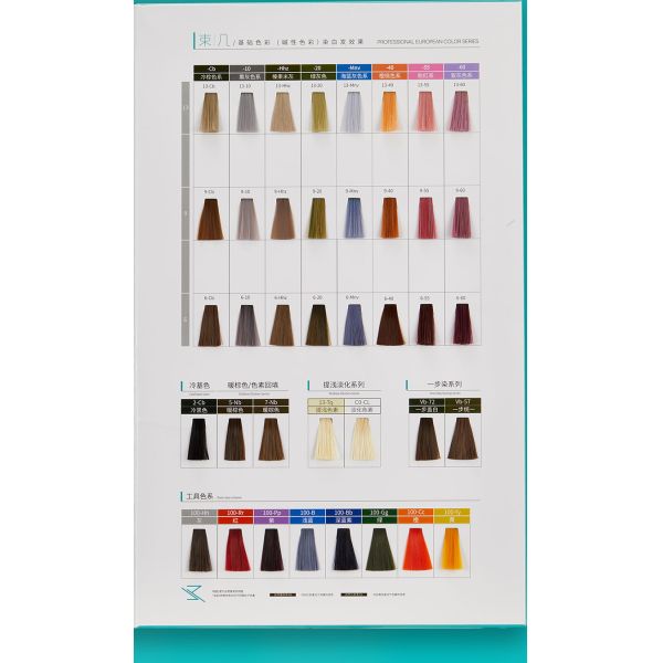 Nuanciers de couleurs de cheveux personnalisés pour salon OEM/ODM avec couleurs de teinture capillaire permanente à la protéine