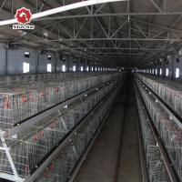 Type de Chick Brooder Cage Fully Automatic H de bébé de 110 jours